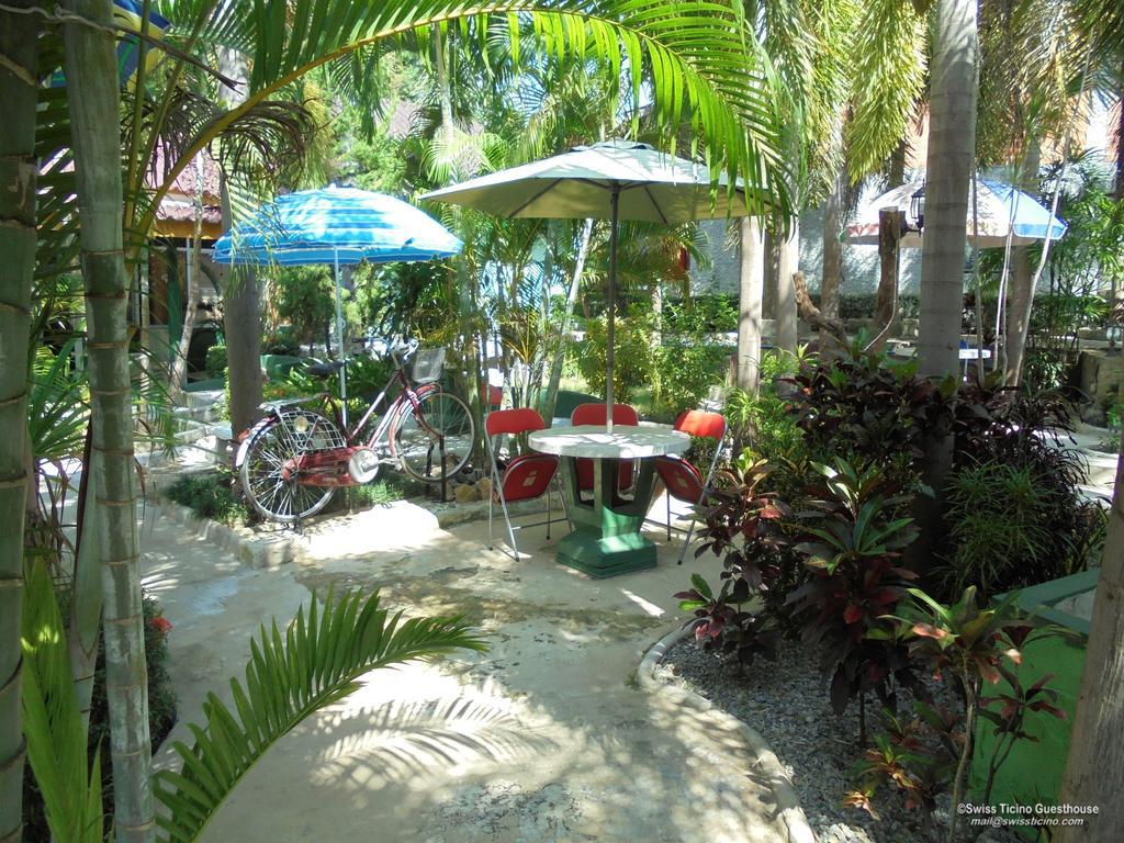 Swiss Ticino Guesthouse & Restaurant แม่วาง ภายนอก รูปภาพ